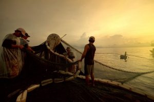 Ngư dân đánh cá tại Phú Quốc